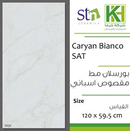 عرض تفاصيل بلاط بورسلان مط مقصوص 59.5×120سم اسباني كاريان بيانكو
 صورة بلاط بورسلان مط مقصوص 59.5×120سم اسباني كاريان بيانكو